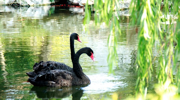 扬州比较推荐的住宿,扬州国庆路住宿推荐