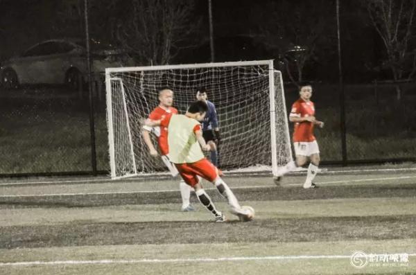 2023年五甲联赛最新积分榜,植物5强争霸赛