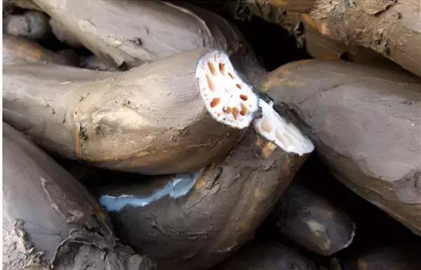 365天都吃不重样的武汉美食,武汉九月金秋美食