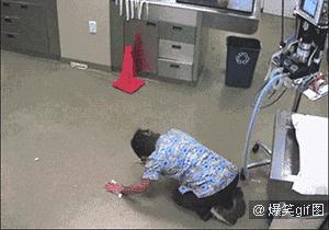 为什么狗狗打完疫苗就招虫,狗狗打完疫苗为什么像疯了一样