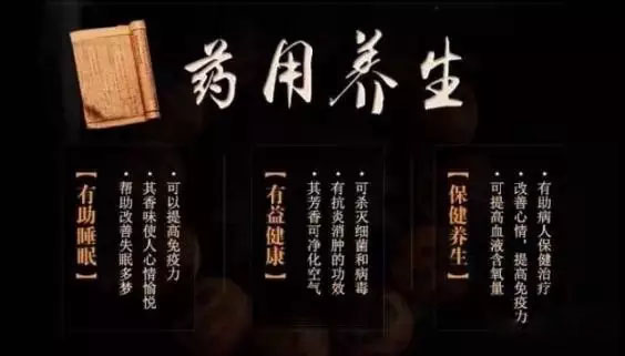 来吧来吧，崖柏吃、喝、抽、睡皆可以！