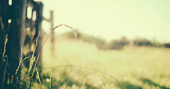 夫家悔婚她跳河被憨厚男人救出，婚后公公做了件事她被人戳脊梁骨