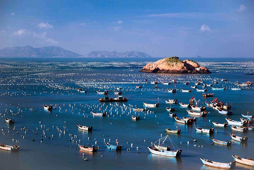 嵊泗海鲜之城,城会玩滨江店