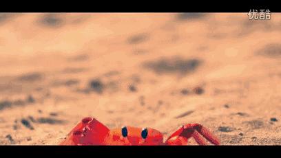 嵊泗海鲜之城,城会玩滨江店