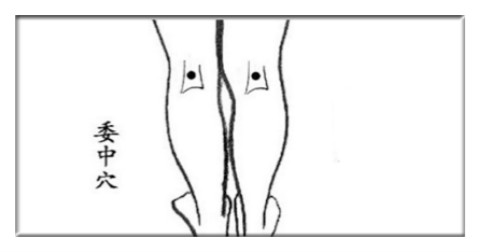 「湿气重」易长痘，用这几招最见效