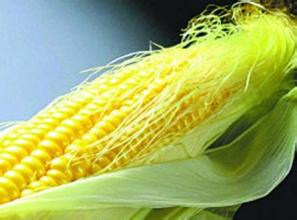 治肾病综合症的老中医,名老中医治肾病中药方剂大全