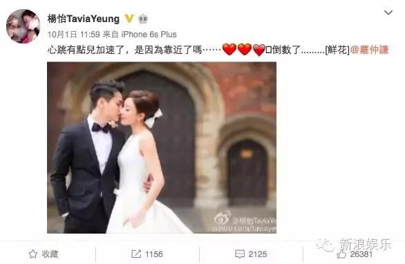 马浚伟杨怡金猪,杨怡金猪