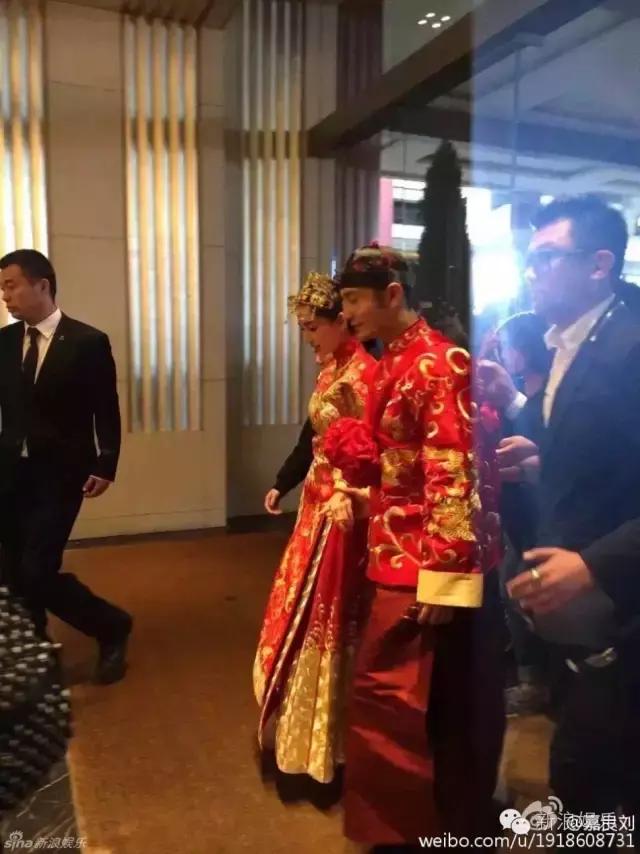 马浚伟杨怡金猪,杨怡金猪