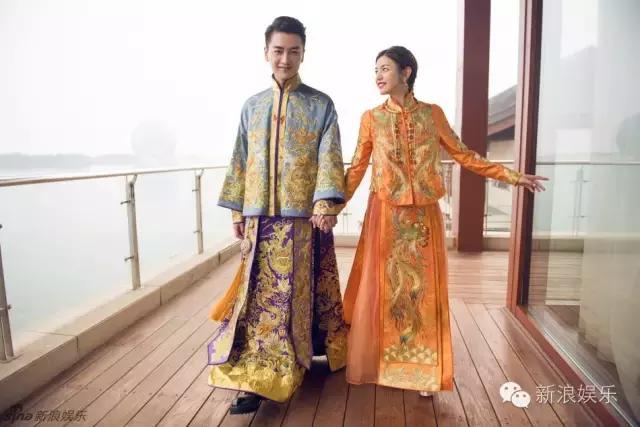 马浚伟杨怡金猪,杨怡金猪