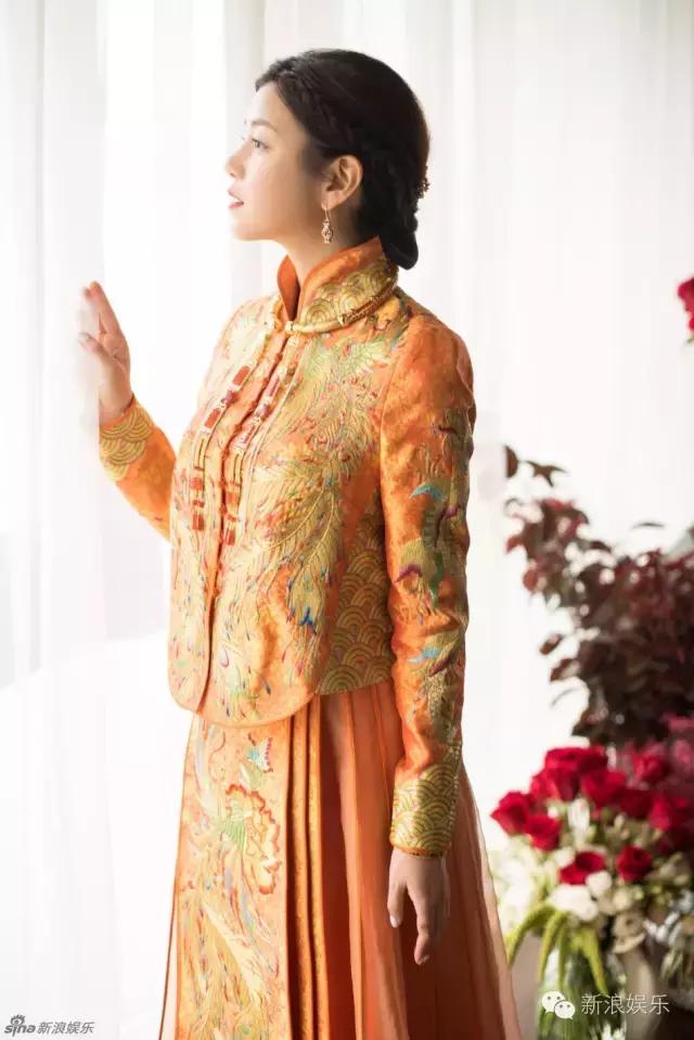 马浚伟杨怡金猪,杨怡金猪