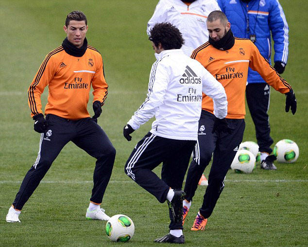 足球狗保暖吗,足球初学者的关注事项