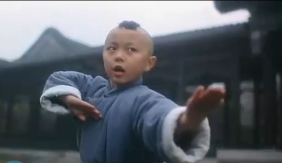 电影新少林五祖李连杰饰演洪熙官,新少林五祖所有艺人的名字