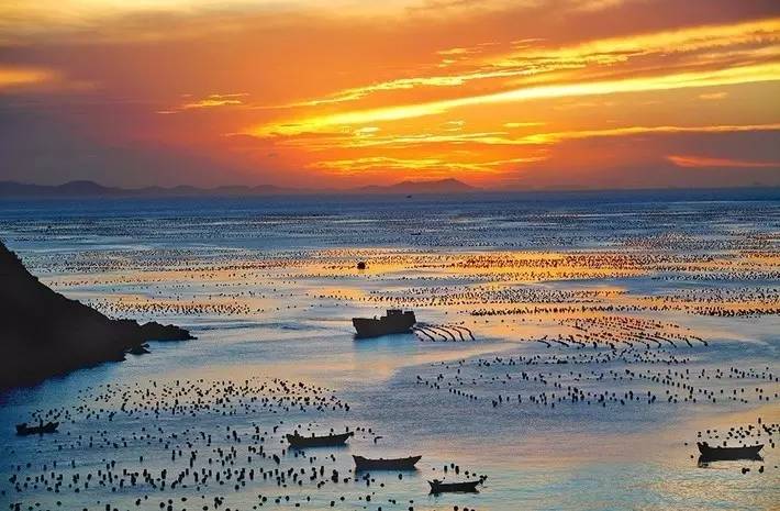 嵊泗海鲜之城,城会玩滨江店