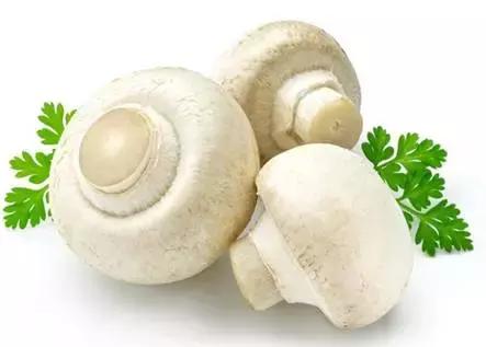 健康养生食物你学会了吗,24种健康养生的食物