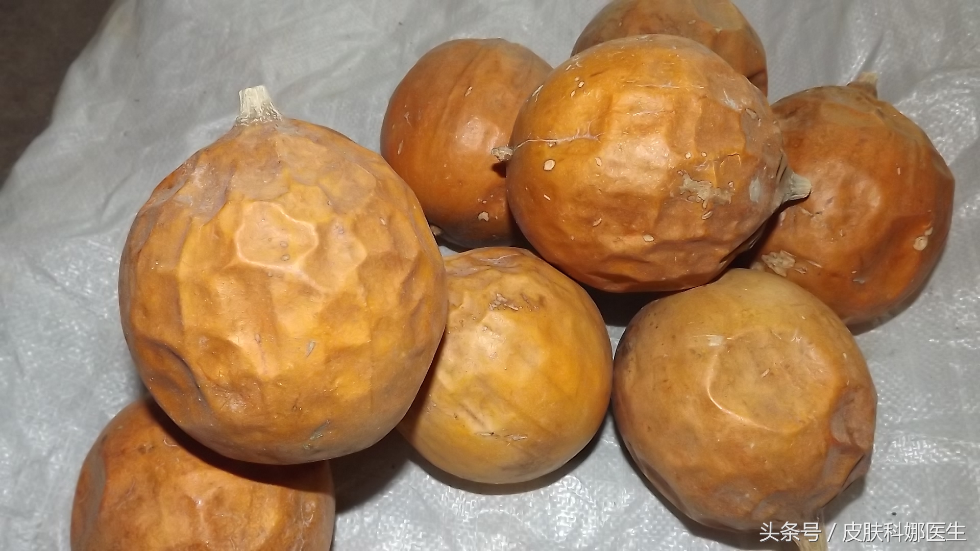 菜葫芦治疗糖尿病效果明显,哪种葫芦可以降血糖