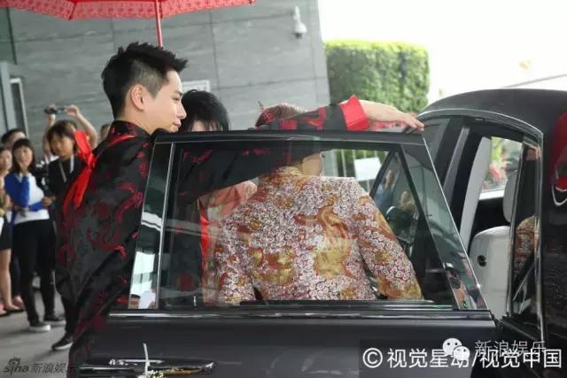 马浚伟杨怡金猪,杨怡金猪