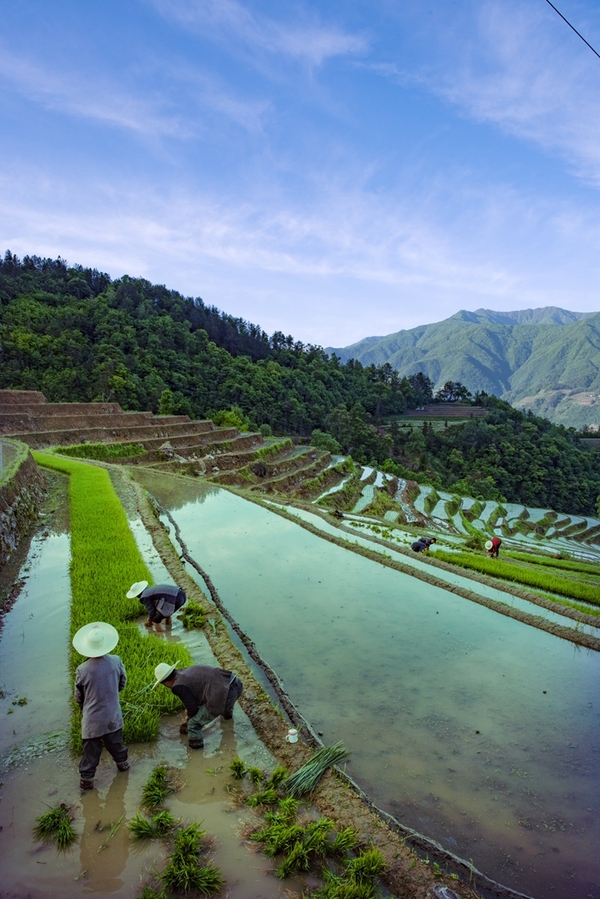 河南女娲伏羲,女娲和伏羲的遗址