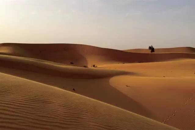 波斯湾双城记：天方夜谭般的魔幻色彩