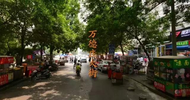 十一回老家不回家,十一回家看看回不去的老家