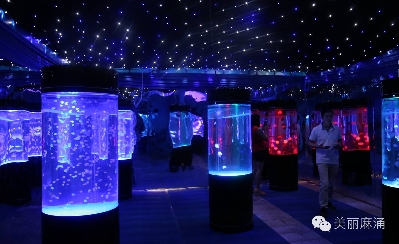 7天时间250000，哩度系麻涌！