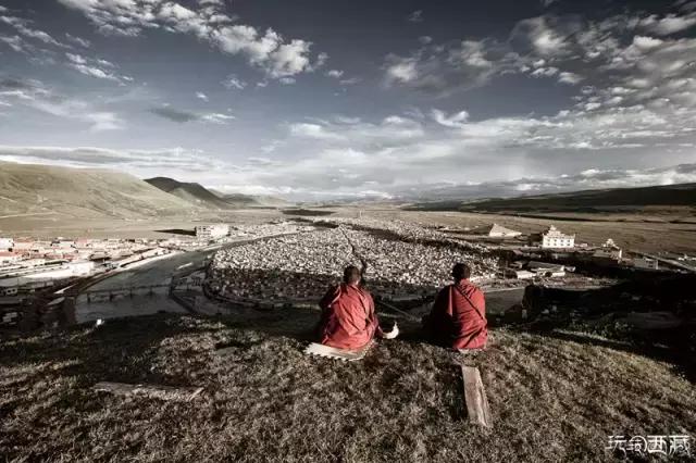 亚青寺，孤寂中盛放的莲花