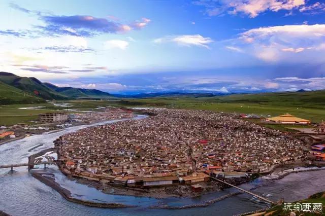 亚青寺，孤寂中盛放的莲花