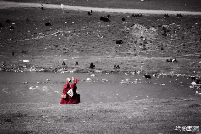 亚青寺，孤寂中盛放的莲花