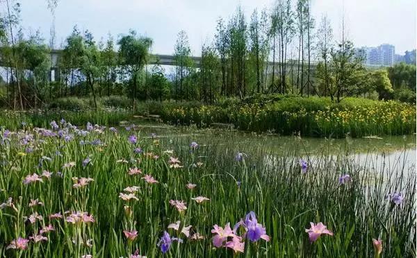 贵阳中秋节带家人一起去哪里玩,重阳节最好玩的地方