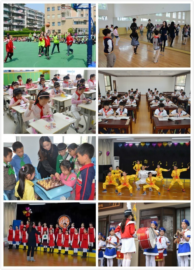 中小学拓展课程,小学有趣的拓展课