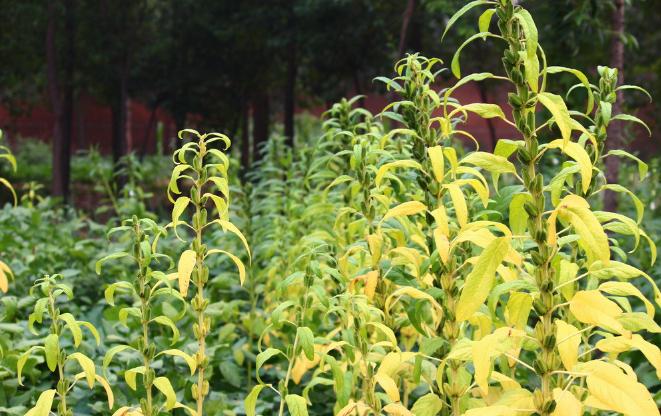 农民为啥不花钱,农民为什么不挣钱