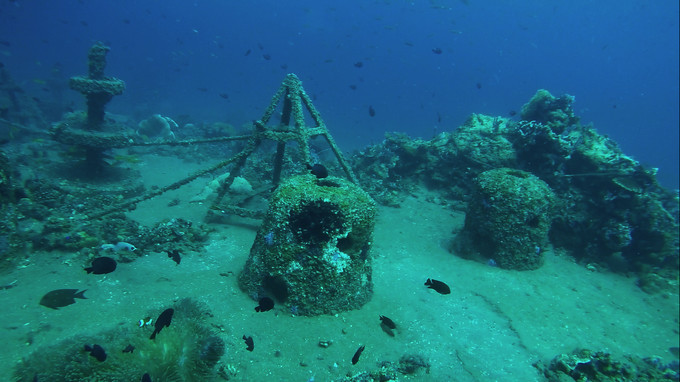 菲律宾潜水攻略 (菲律宾潜水游记)