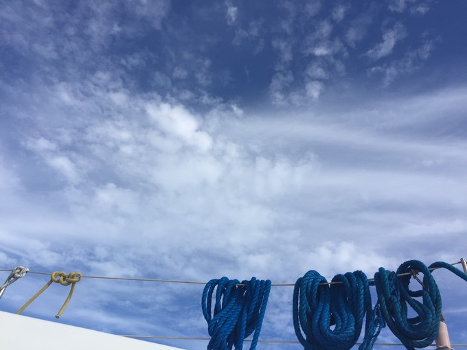 菲律宾潜水攻略 (菲律宾潜水游记)