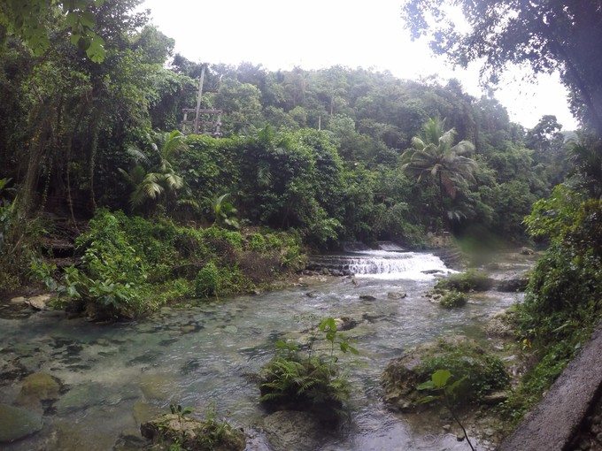 菲律宾潜水攻略 (菲律宾潜水游记)