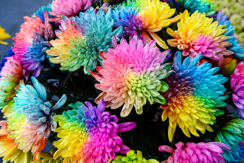 开封一日吃喝玩乐旅游攻略,开封周末游玩推荐