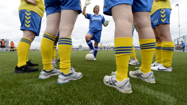 人造塑料草皮有毒吗,人造草坪毒性