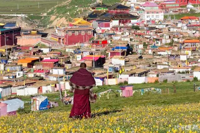 亚青寺，孤寂中盛放的莲花