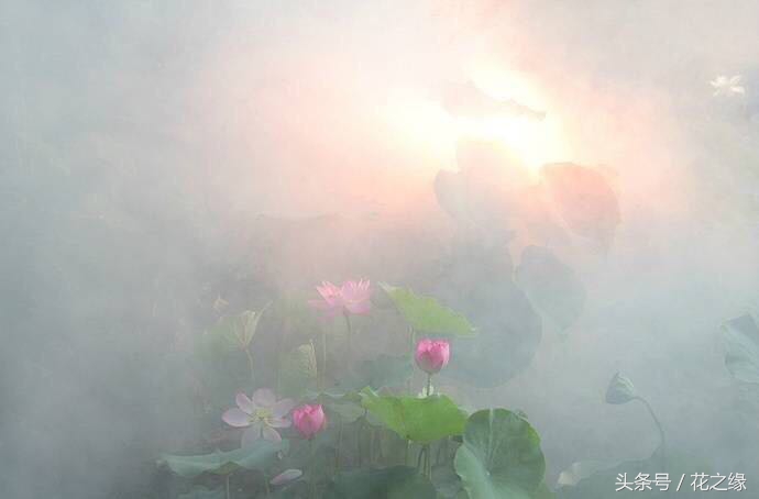 有心跳的生活，美景尽在眼下