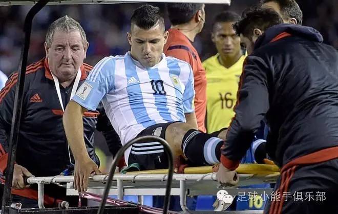 郁金香vs德国,郁金香战争