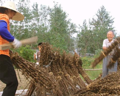 农民为啥不花钱,农民为什么不挣钱