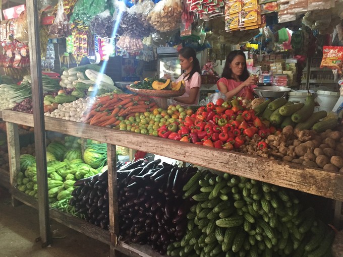 菲律宾潜水攻略 (菲律宾潜水游记)