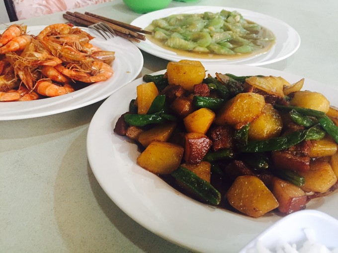 菲律宾潜水攻略 (菲律宾潜水游记)