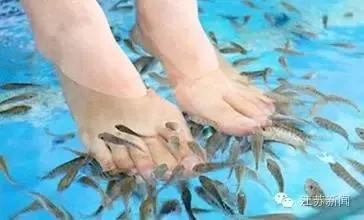 真相如此残酷！通过这种小动物按摩治脚气？谨慎患上皮肤病！