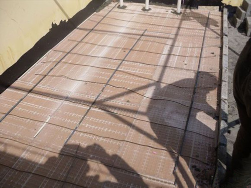 陆龟在室内用什么垫层,陆龟住什么地方