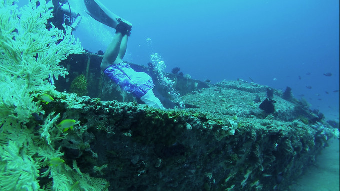 菲律宾潜水攻略 (菲律宾潜水游记)