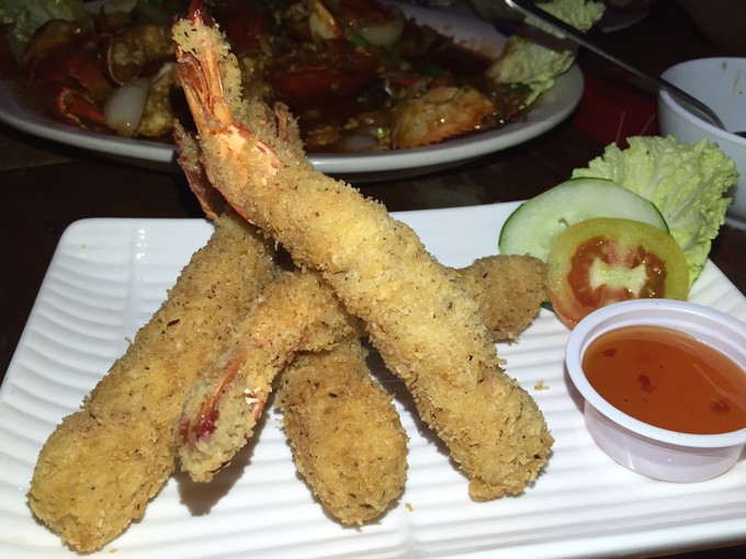 菲律宾潜水攻略 (菲律宾潜水游记)