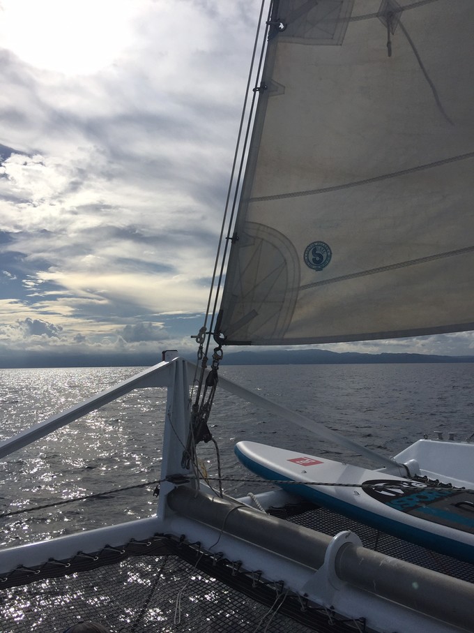 菲律宾潜水攻略 (菲律宾潜水游记)