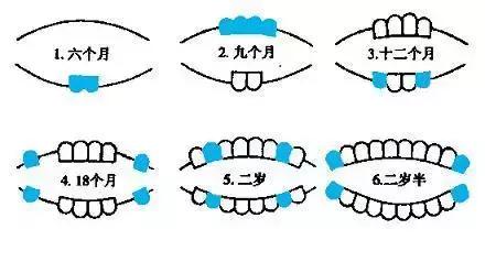 宝宝龋齿可能引发全身性疾病，妈妈必须知道的0~6岁牙齿护理