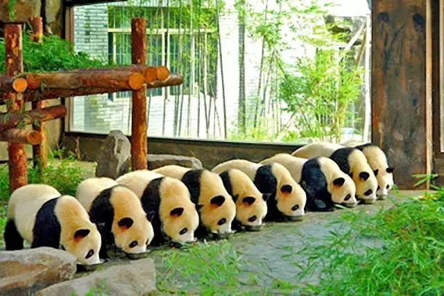 魔都旅游巴士,魔都游玩路线图