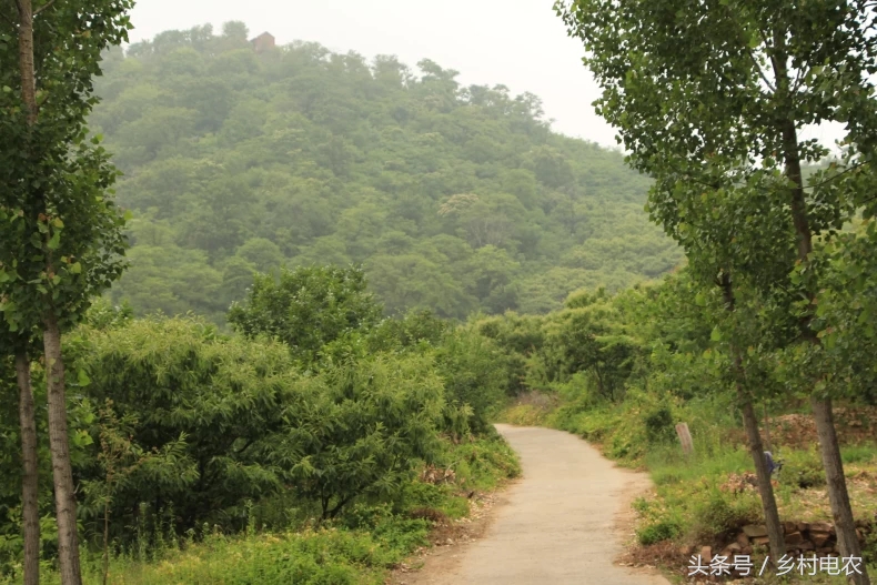 阿里乡村振兴公益事业,阿里农村扶贫