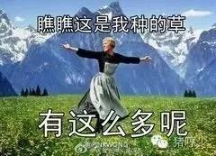 suqqu2020秋冬新品,suqqu新款黑金粉霜好用吗